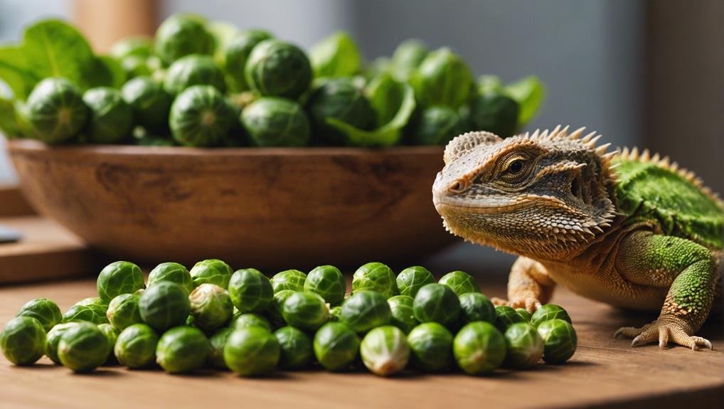 Can Bearded Dragons Eat Brussel Sprouts